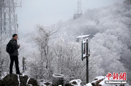 南京新年首場雪“低調(diào)”降臨