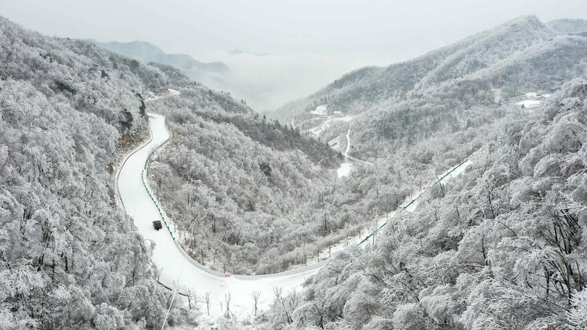 湖北?？惮F(xiàn)森林霧凇景觀 如水墨畫(huà)卷